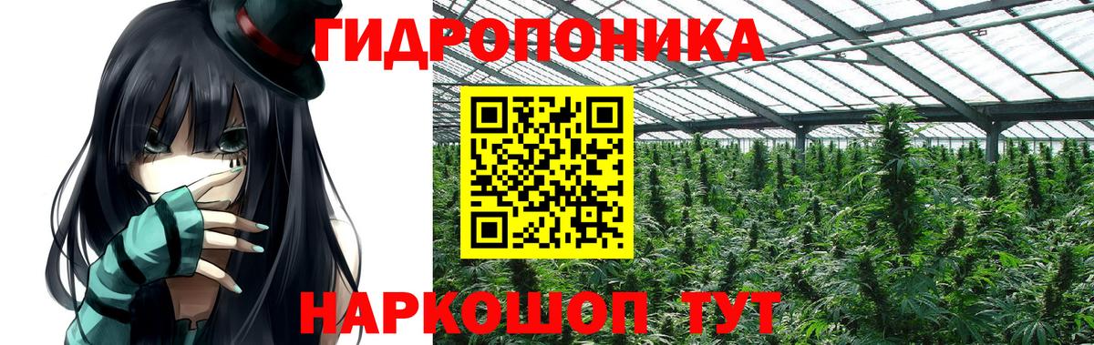 Шишки марихуана семена  Бошки Шишки AK-47  Конопля Amnesia  Вход с VPN  Можайск  Бошки марихуана White Widow 